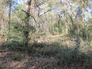 32602 Dogwood Trail, Magnolia, TX 77355
