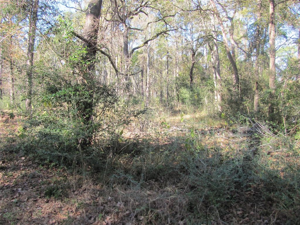32602 Dogwood Trail, Magnolia, TX 77355