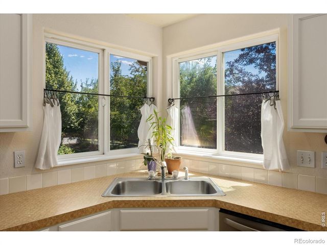 905 Scotch Pine Drive, Severance, CO 80550