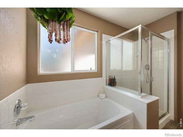 905 Scotch Pine Drive, Severance, CO 80550