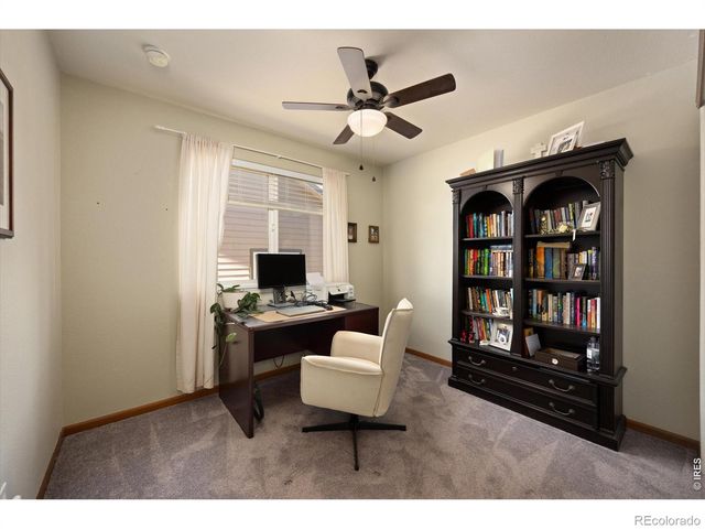 905 Scotch Pine Drive, Severance, CO 80550