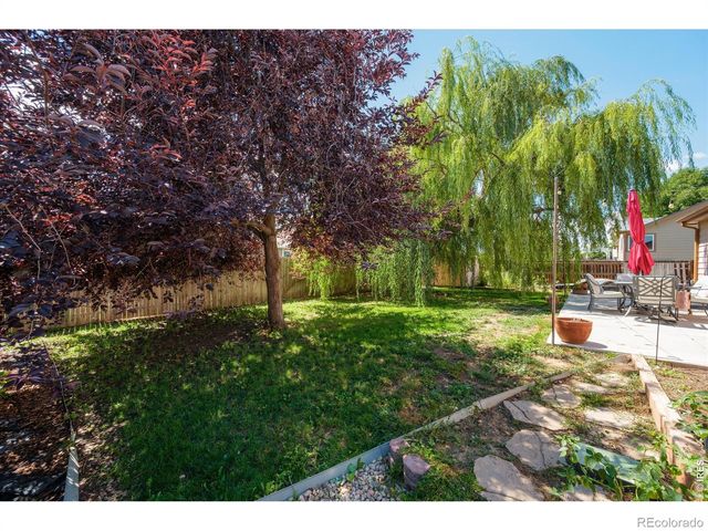 905 Scotch Pine Drive, Severance, CO 80550