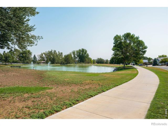 905 Scotch Pine Drive, Severance, CO 80550