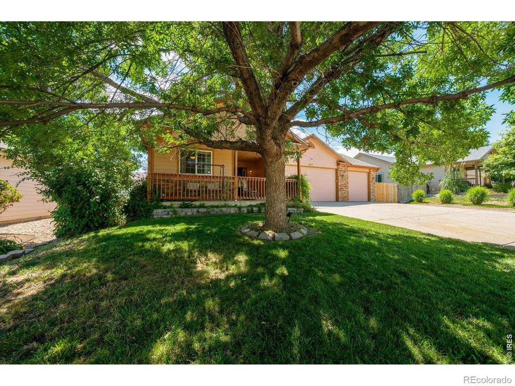 905 Scotch Pine Drive, Severance, CO 80550