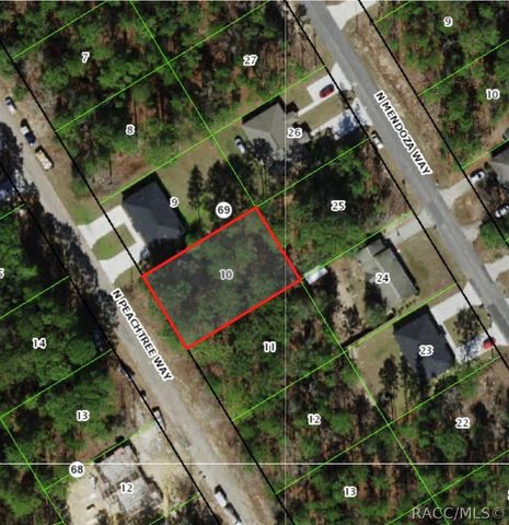 9169 N Peachtree Way, Citrus Springs, FL 34434