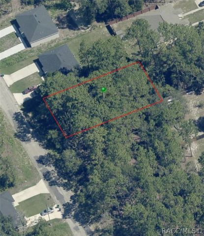 9169 N Peachtree Way, Citrus Springs, FL 34434