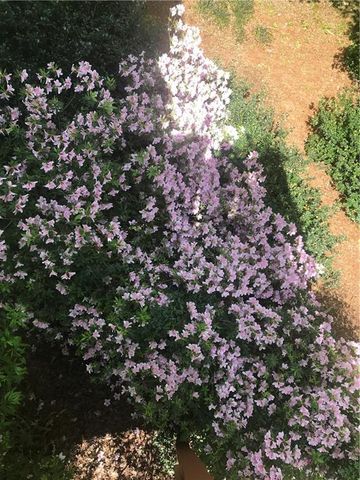 245 Ridge Point Court, Alpharetta, GA 30022