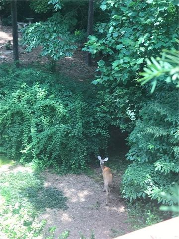 245 Ridge Point Court, Alpharetta, GA 30022