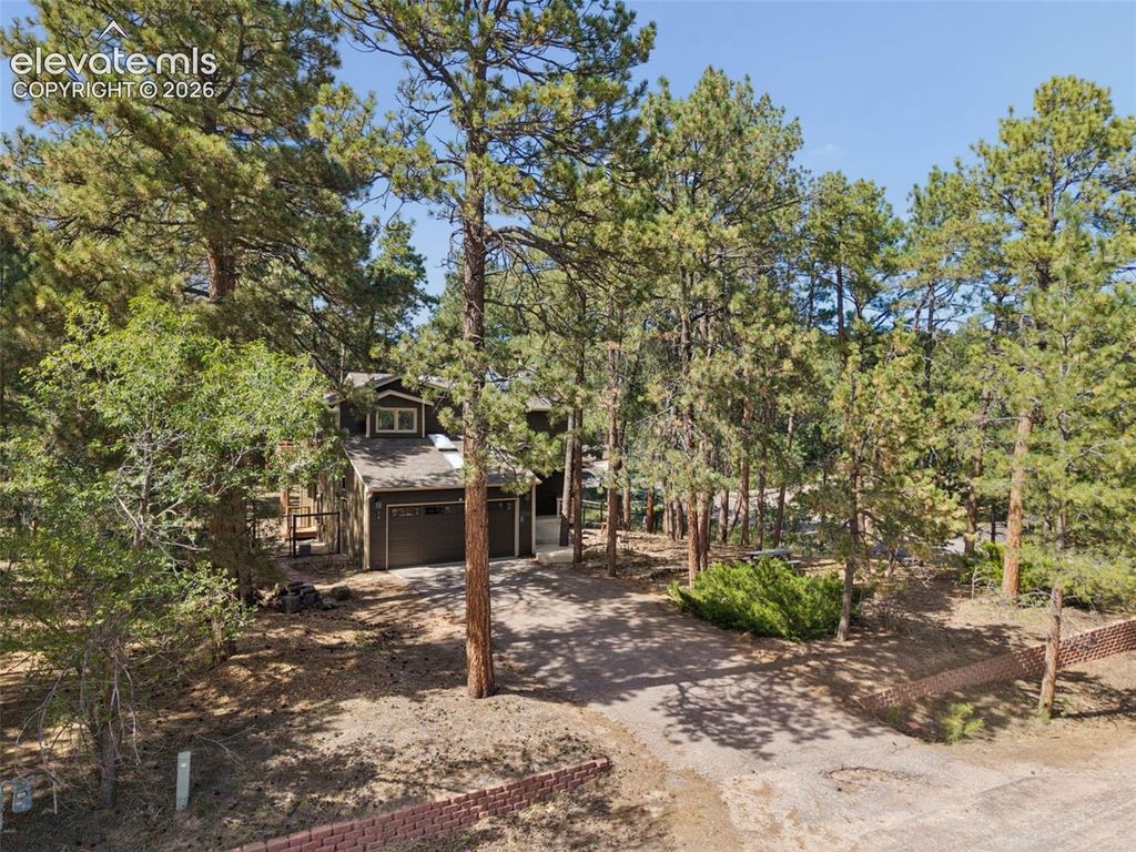 15040 Tari Court, Colorado Springs, CO 80921 — photo 5