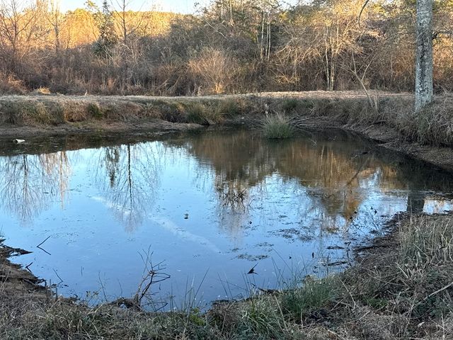 539 Doyle Rd, Dothan, AL 36301