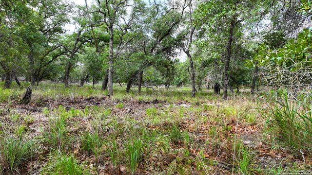LOT 17 Sandstone Lane, Seguin, TX 78155