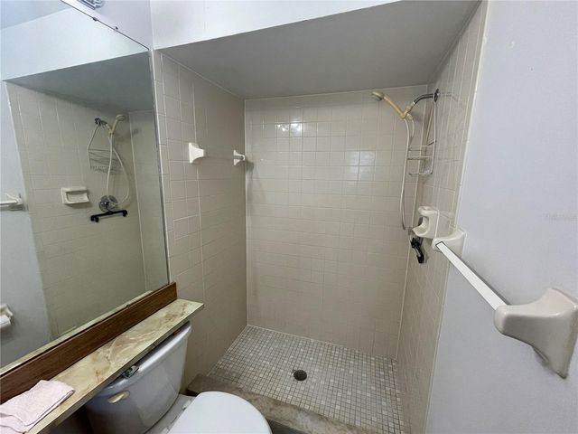 11001 SUNSWEPT PLACE, Tampa, FL 33624