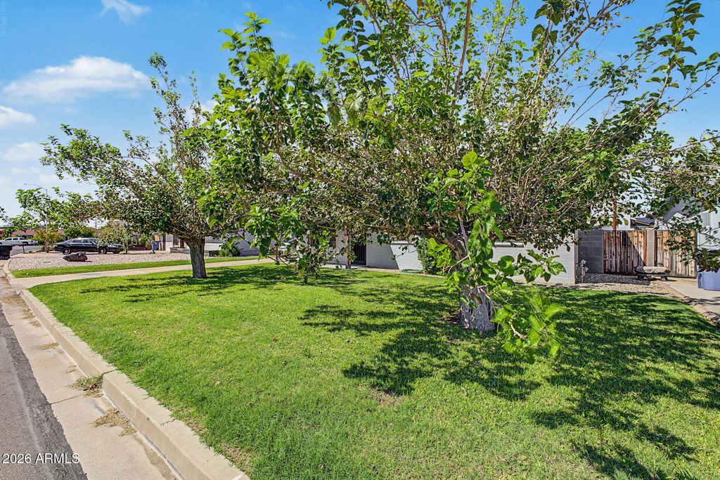 1862 W 5TH Street, Mesa, AZ 85201 — photo 3