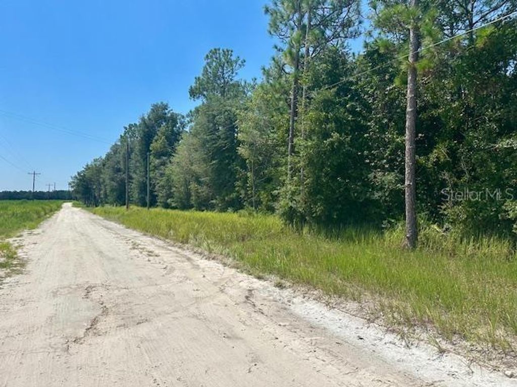 5919 NW 10TH AVENUE, Bell, FL 32619