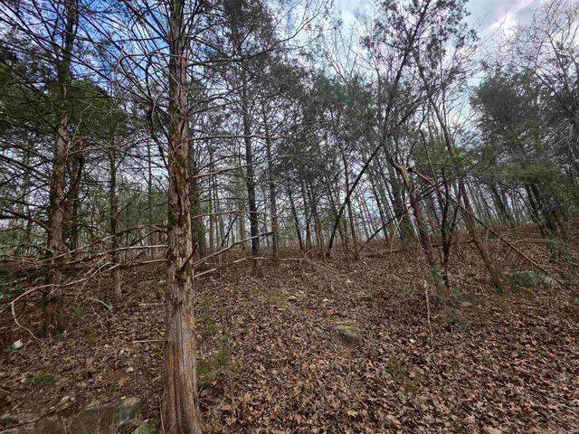 L-24 B-7 Steves Road, Hardy, AR 72542