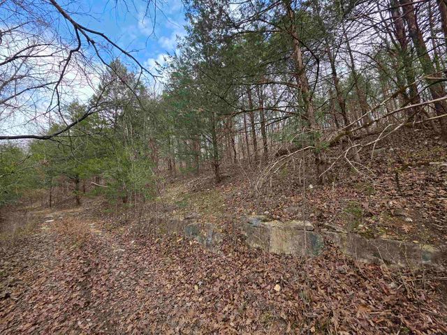 L-24 B-7 Steves Road, Hardy, AR 72542