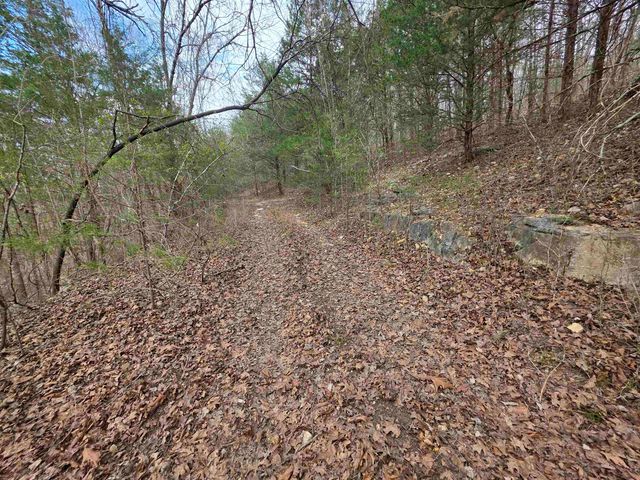 L-24 B-7 Steves Road, Hardy, AR 72542