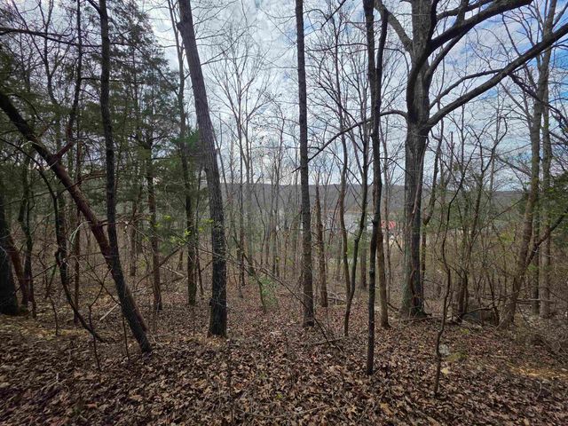 L-24 B-7 Steves Road, Hardy, AR 72542