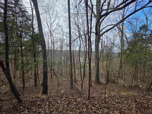 L-24 B-7 Steves Road, Hardy, AR 72542