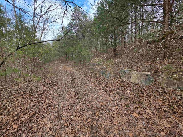 L-24 B-7 Steves Road, Hardy, AR 72542