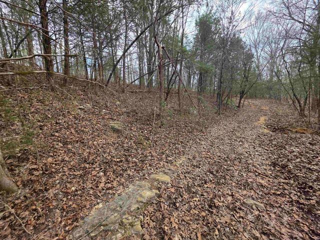 L-24 B-7 Steves Road, Hardy, AR 72542