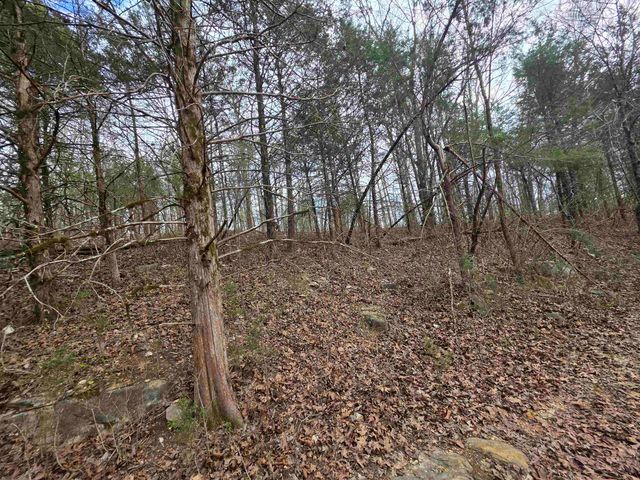 L-24 B-7 Steves Road, Hardy, AR 72542