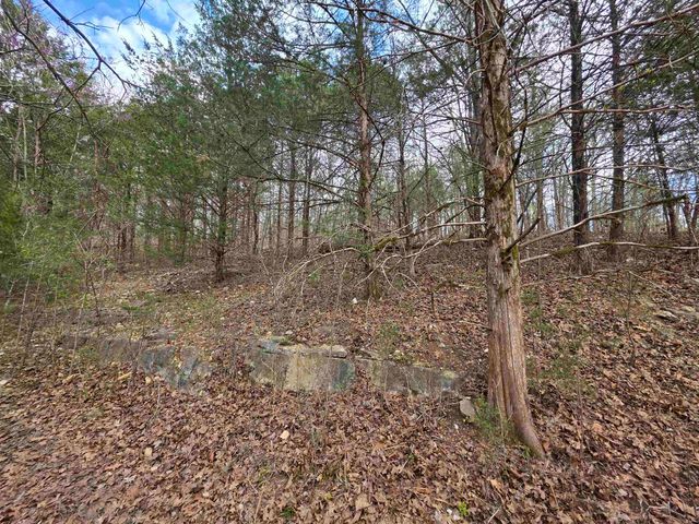 L-24 B-7 Steves Road, Hardy, AR 72542