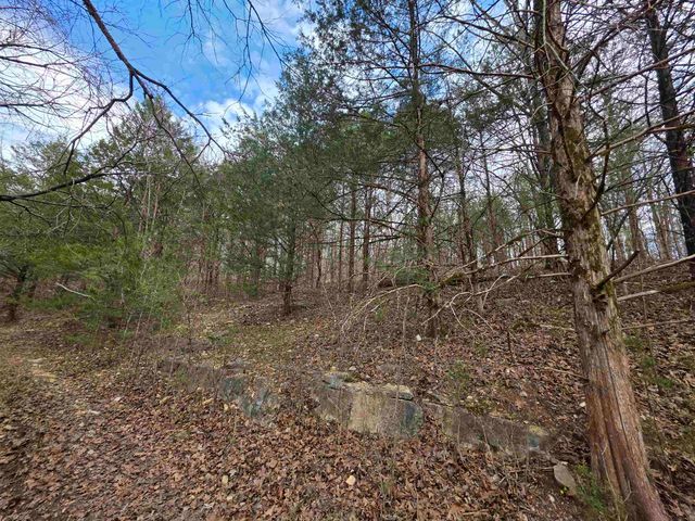 L-24 B-7 Steves Road, Hardy, AR 72542