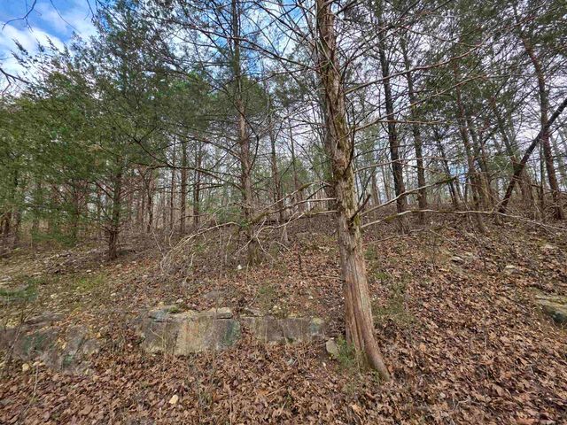 L-24 B-7 Steves Road, Hardy, AR 72542
