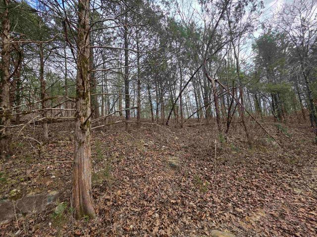 L-24 B-7 Steves Road, Hardy, AR 72542