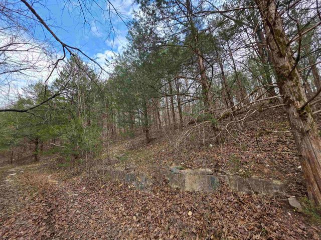 L-24 B-7 Steves Road, Hardy, AR 72542
