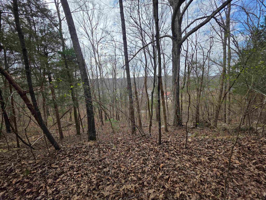 L-24 B-7 Steves Road, Hardy, AR 72542