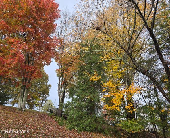 200 Sunset Lane, Harriman, TN 37748