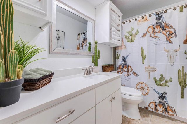 511 Chateau Woods Parkway Drive, Conroe, TX 77385