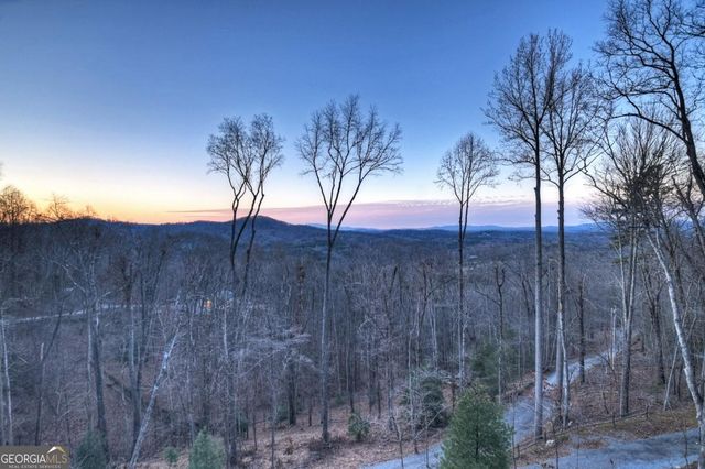 415 Green Ridge Trail, Blue Ridge, GA 30513