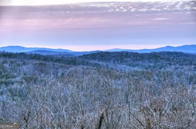415 Green Ridge Trail, Blue Ridge, GA 30513