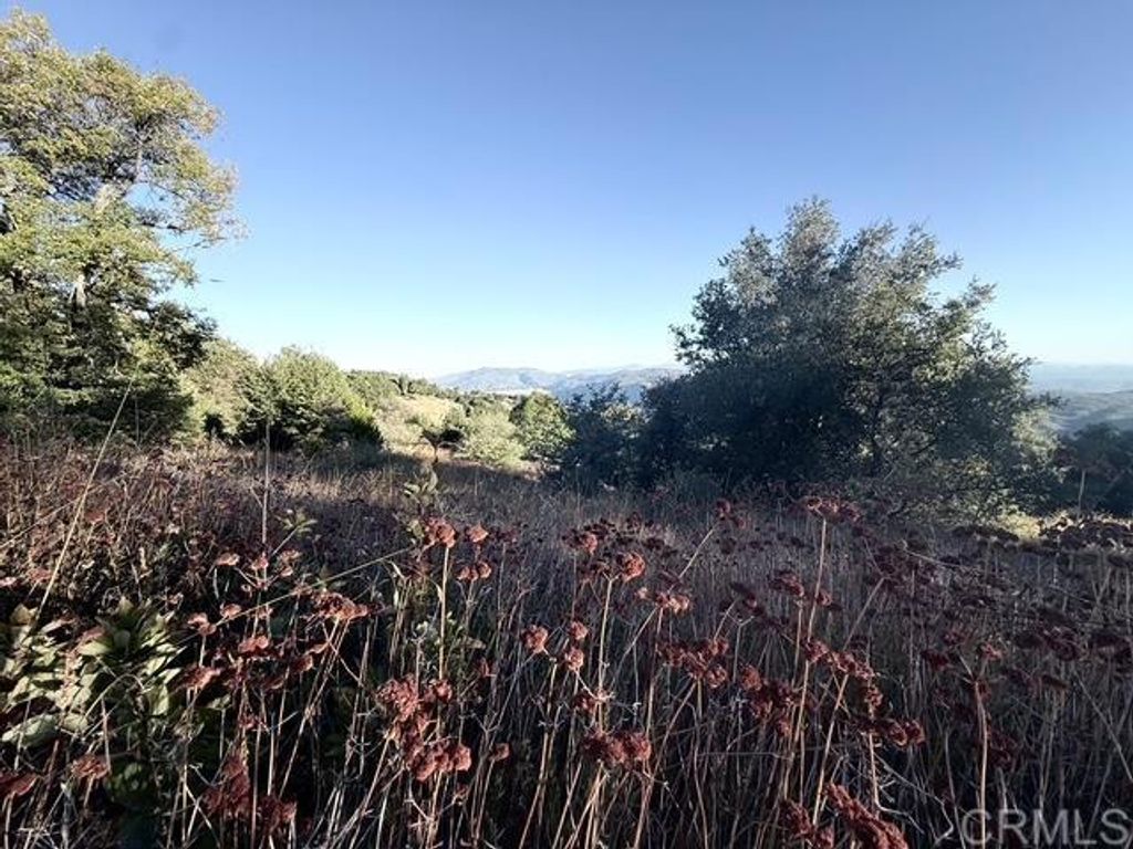 29 Acres East Grade Road, Palomar Mountain, CA 92060 — photo 3