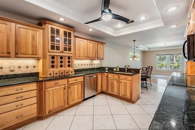 10133 COLLAR DRIVE, San Antonio, FL 33576