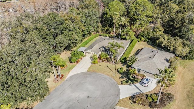 10133 COLLAR DRIVE, San Antonio, FL 33576