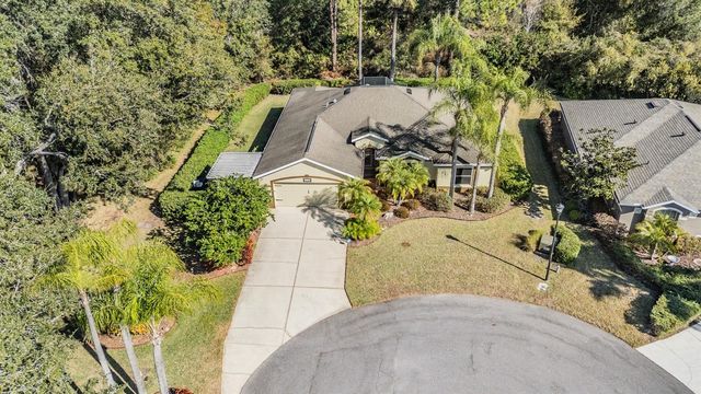 10133 COLLAR DRIVE, San Antonio, FL 33576