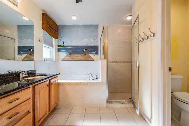 10133 COLLAR DRIVE, San Antonio, FL 33576