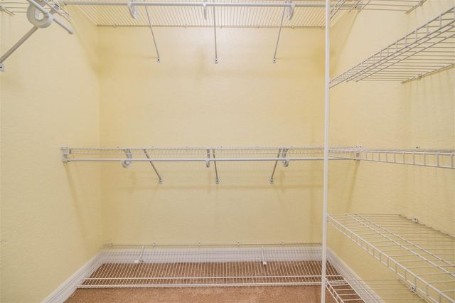 10133 COLLAR DRIVE, San Antonio, FL 33576