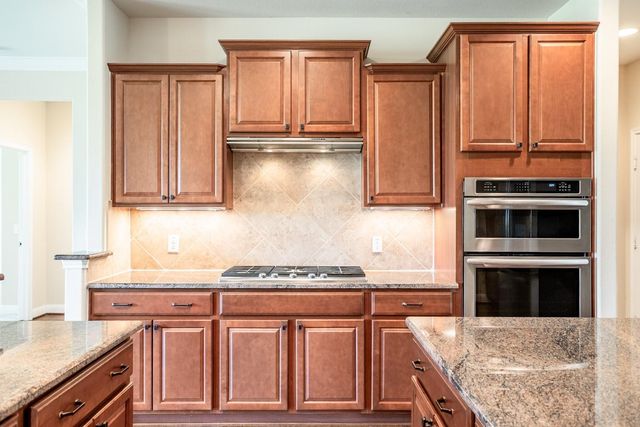 719 Mission Olive Cove, Richmond, TX 77469
