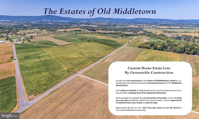 5916 CLOUDBERRY CT, Middletown, MD 21769