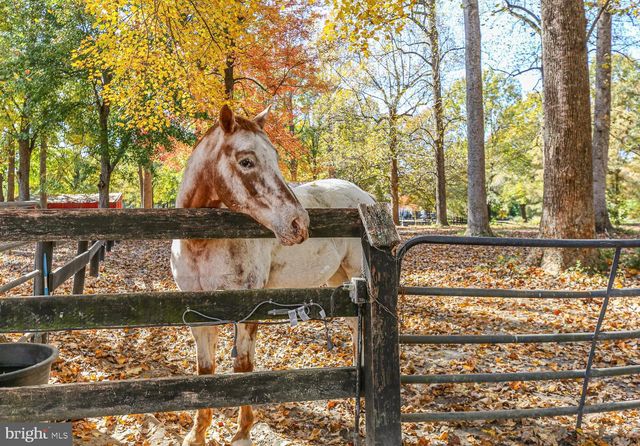 48 OLD CREEKSIDE RD, Fredericksburg, VA 22405