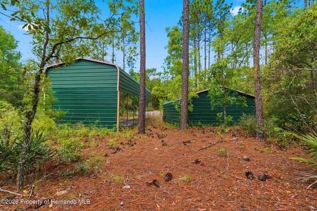 3339 W Eldridge Drive, Citrus Springs, FL 34433