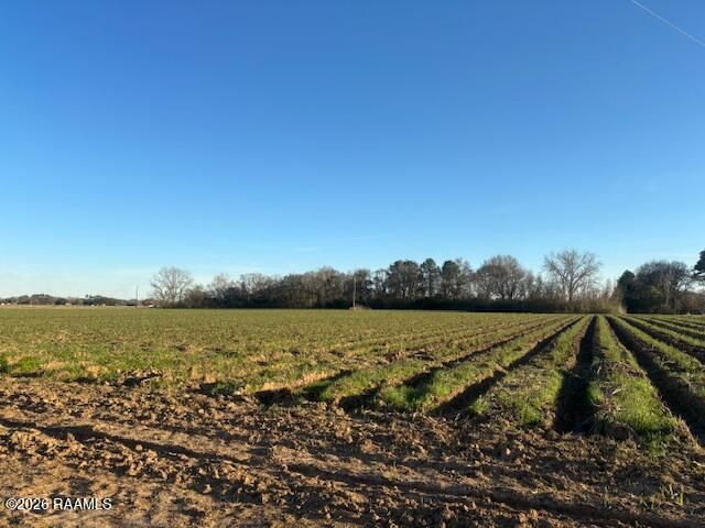 S Hospital Drive, Abbeville, LA 70510