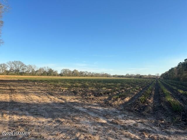 S Hospital Drive, Abbeville, LA 70510