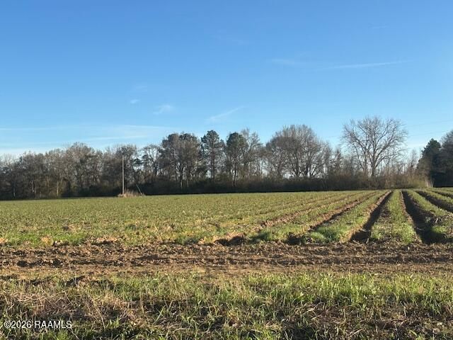 S Hospital Drive, Abbeville, LA 70510