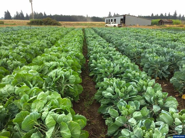 8962 S Heinz Rd, Canby, OR 97013